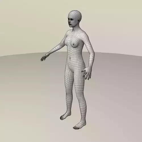 Female base mesh 3D model