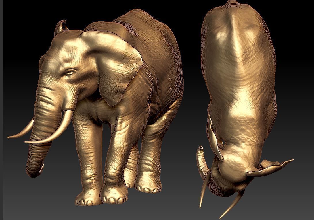 elephant 3d model  3D print model_1