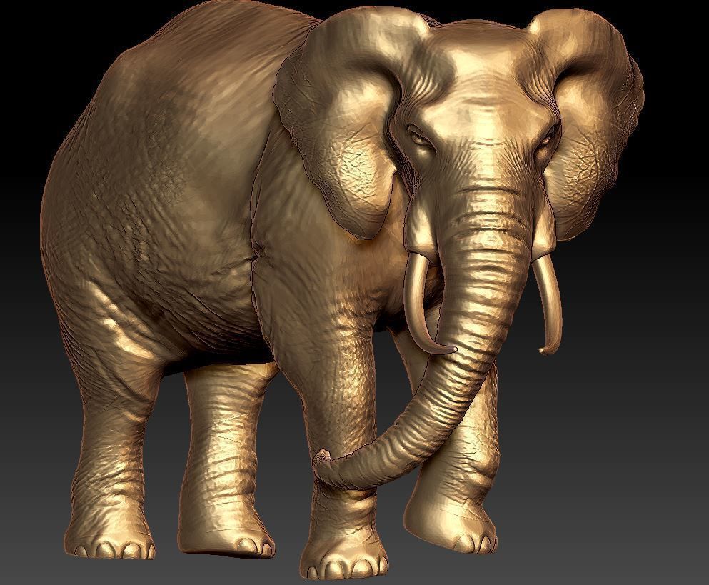elephant 3d model  3D print model_2