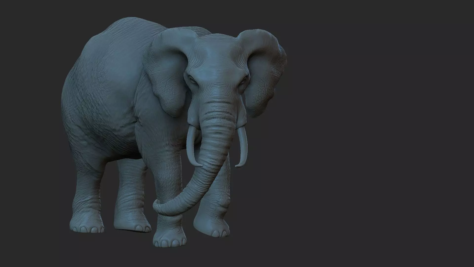 elephant 3d model  3D print model_0