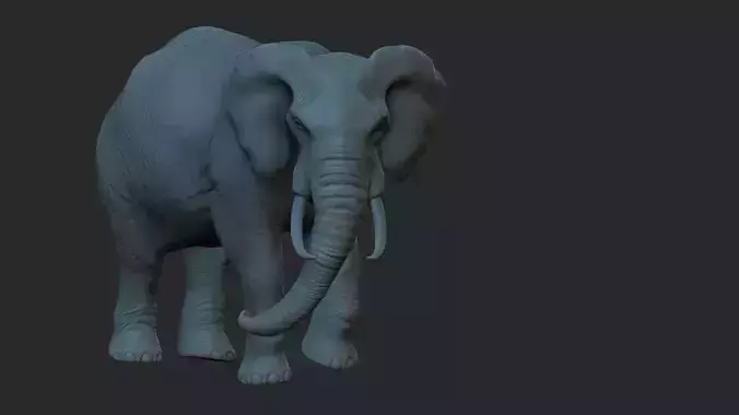 elephant 3d model 