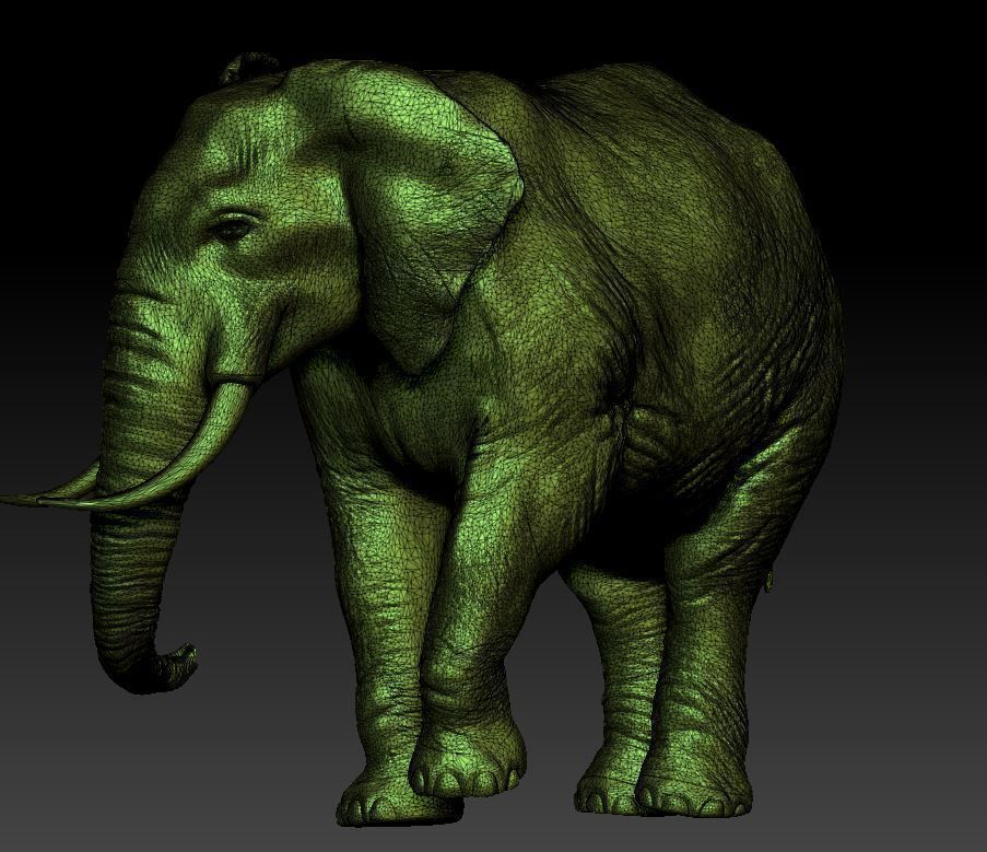 elephant 3d model  3D print model_3