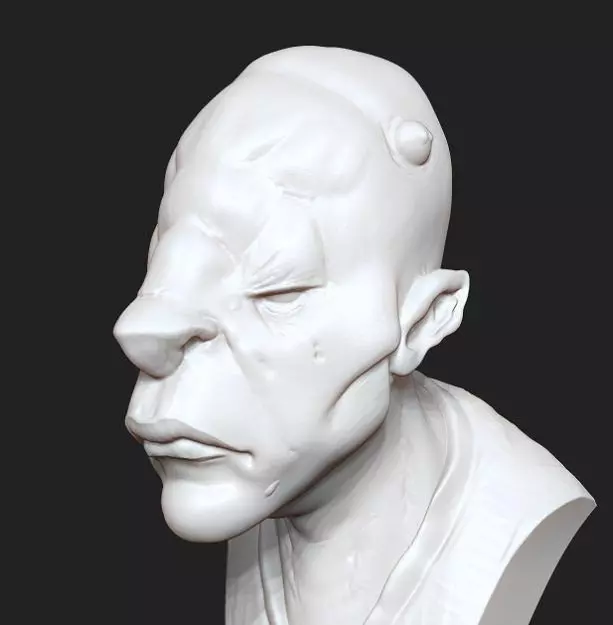 Malo Fan Art Bust Free 3D print model_0