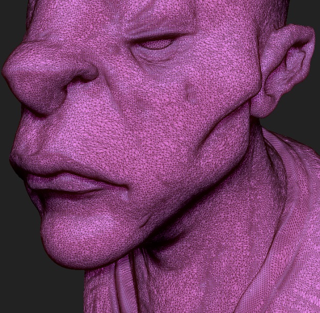 Malo Fan Art Bust Free 3D print model_3