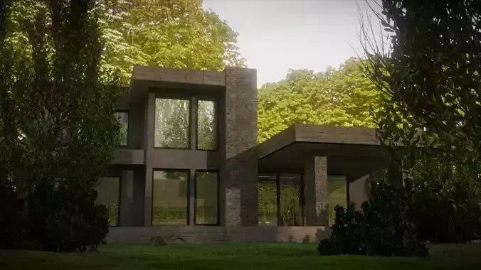 House modern in woods