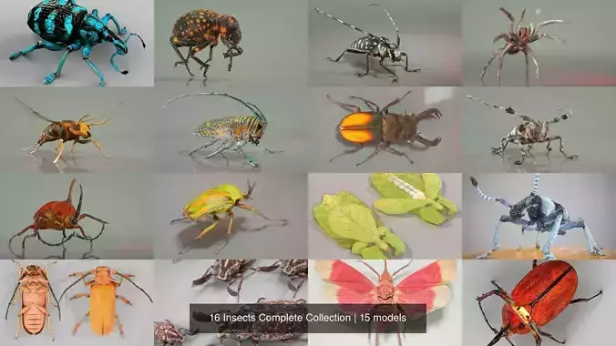 16 Insects Complete Collection 