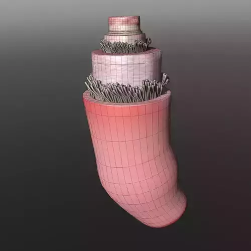 Structure of a Normal Heart Artery 3D model