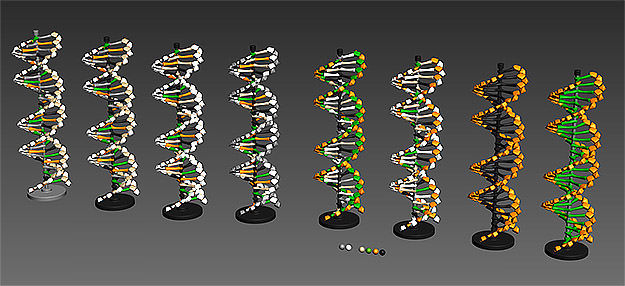 DNA Helix Free 3D print model_3