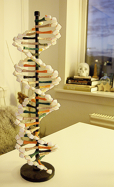3D print model DNA Helix | CGTrader