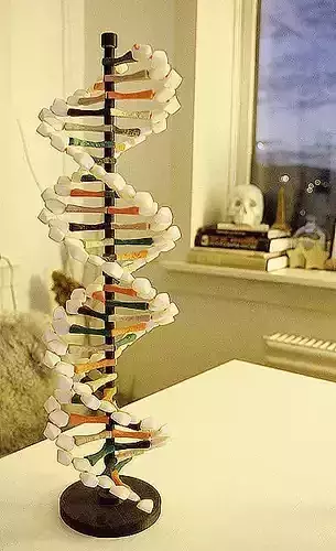 DNA Helix Free 3D print model