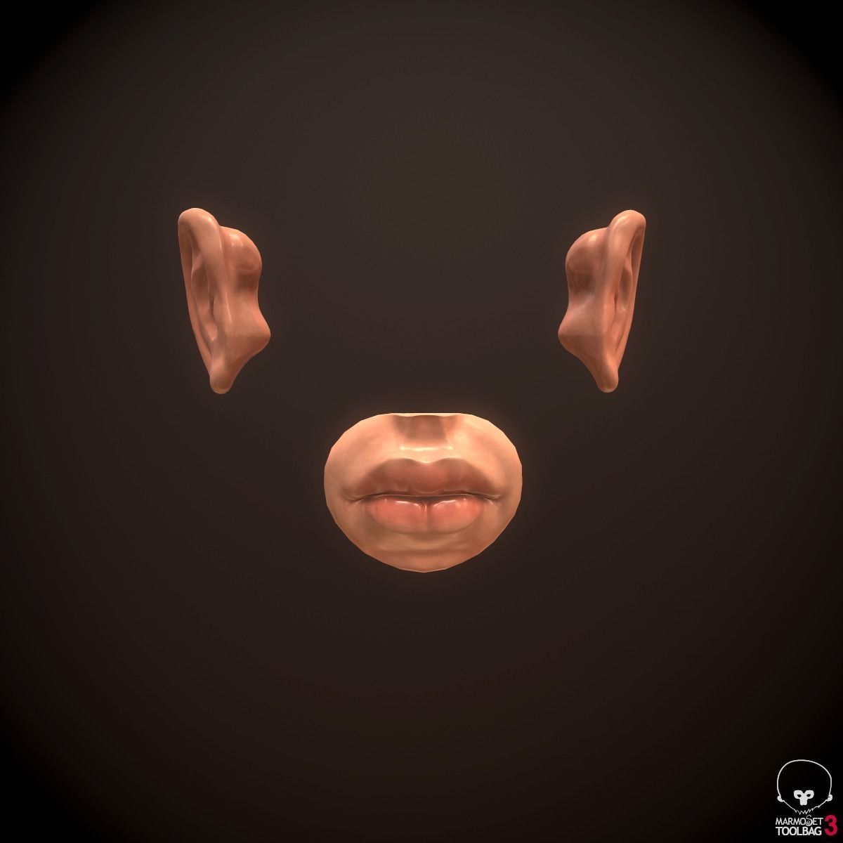 Head Face Muscle Structure Anatomy 3D model_14