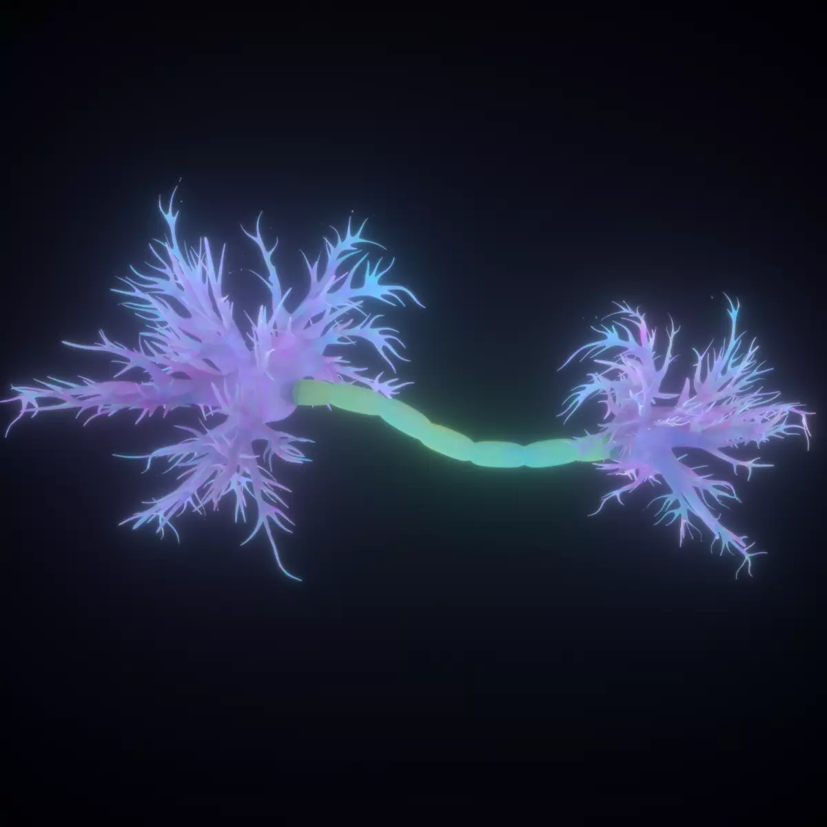 Neuron Human anatomy model 3D model