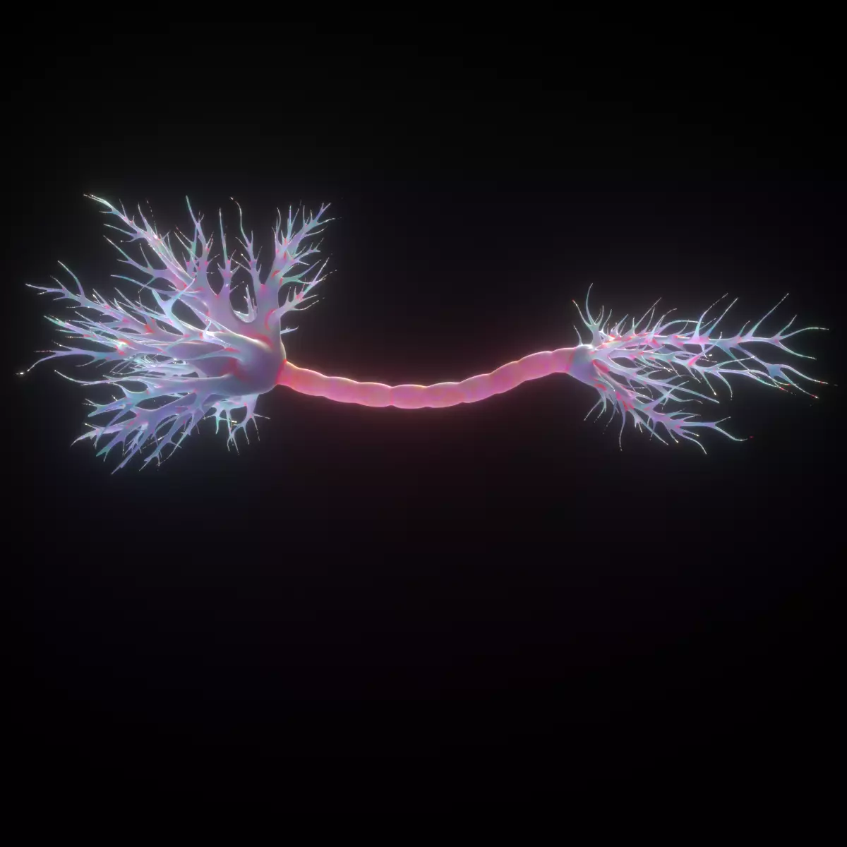 Neuron Human anatomy 3D model