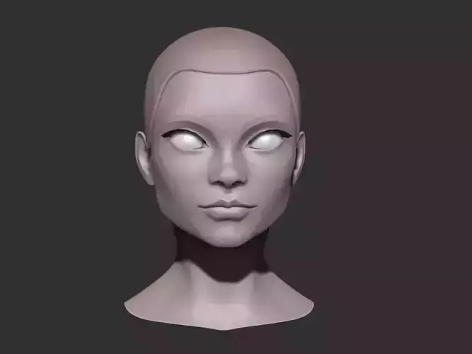  Female head nr 2  base mesh