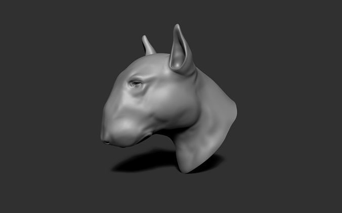 Dog Bull Terrier Head 3D print model