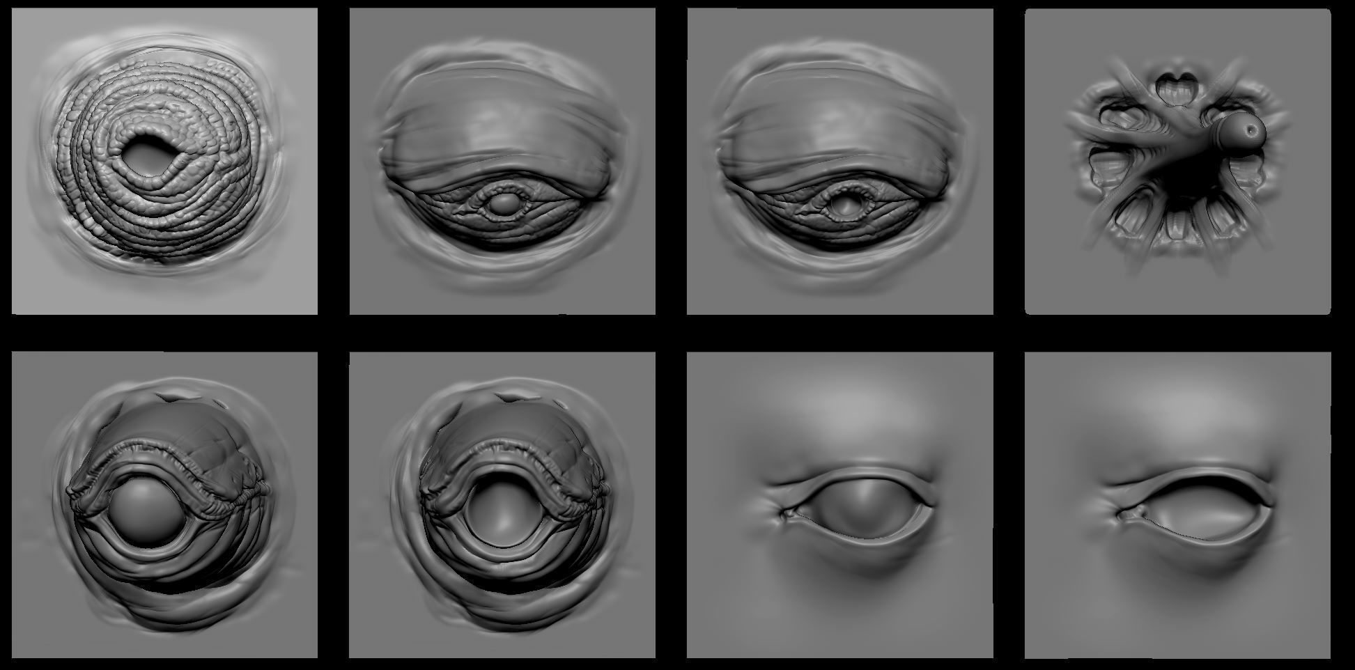 EYES - 28 Zbrush VDM creature eyes and 15 eyeballs 3D model_15