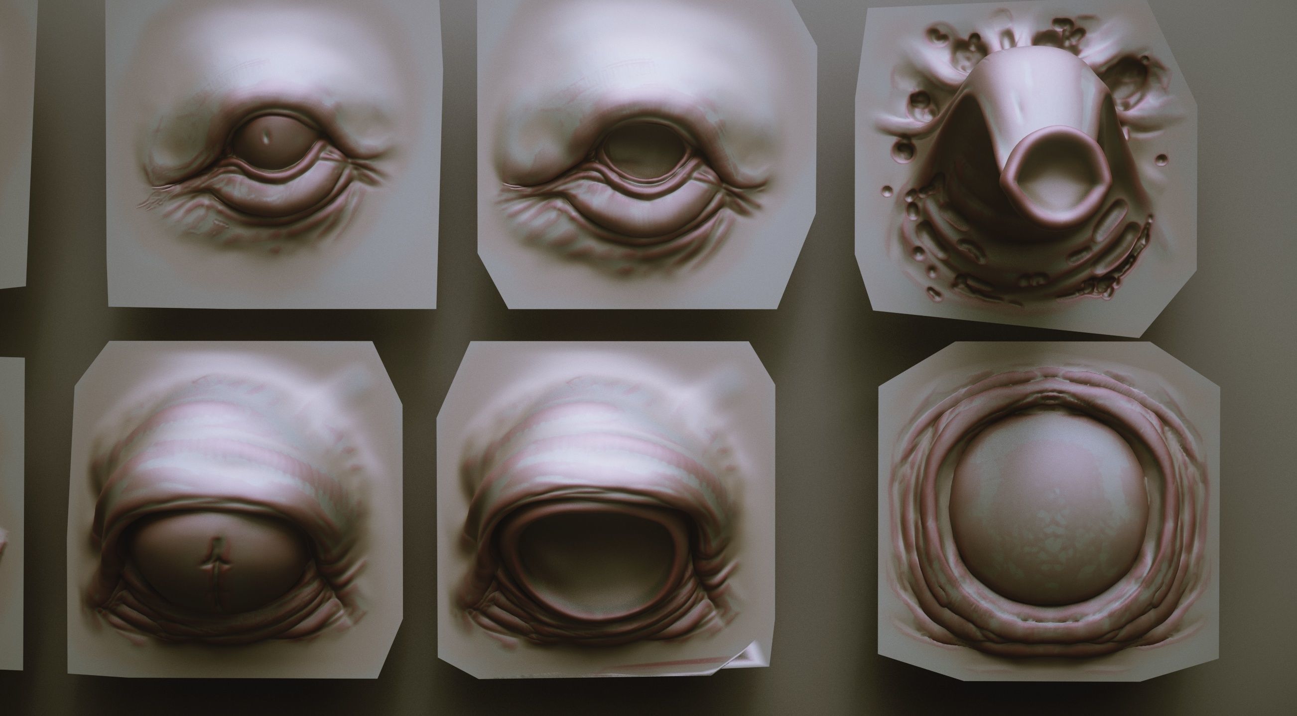 EYES - 28 Zbrush VDM creature eyes and 15 eyeballs 3D model_6