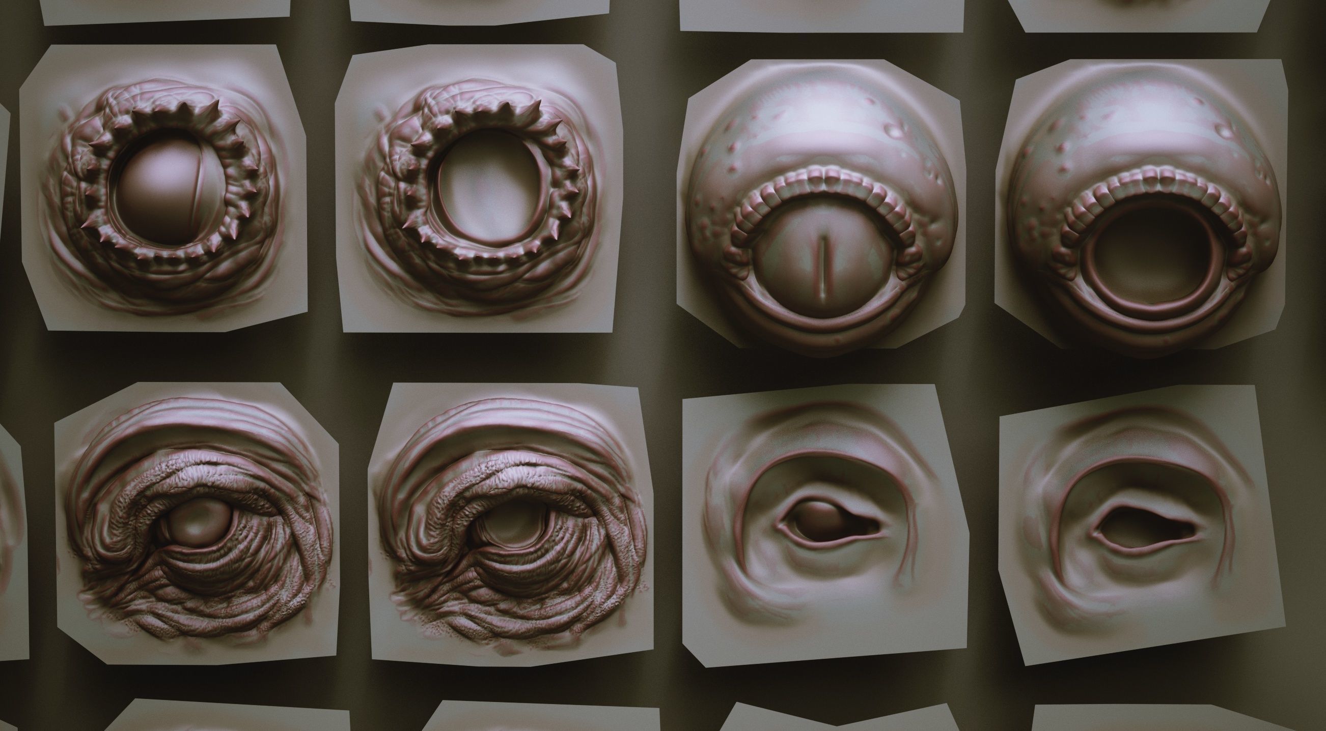 EYES - 28 Zbrush VDM creature eyes and 15 eyeballs 3D model_10