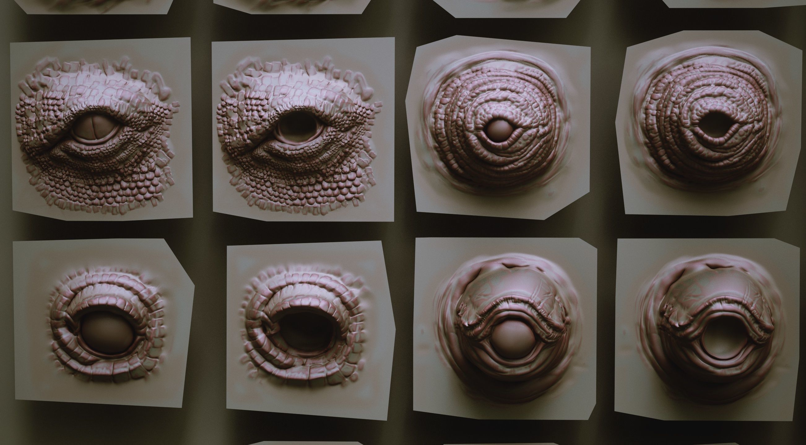 EYES - 28 Zbrush VDM creature eyes and 15 eyeballs 3D model_12