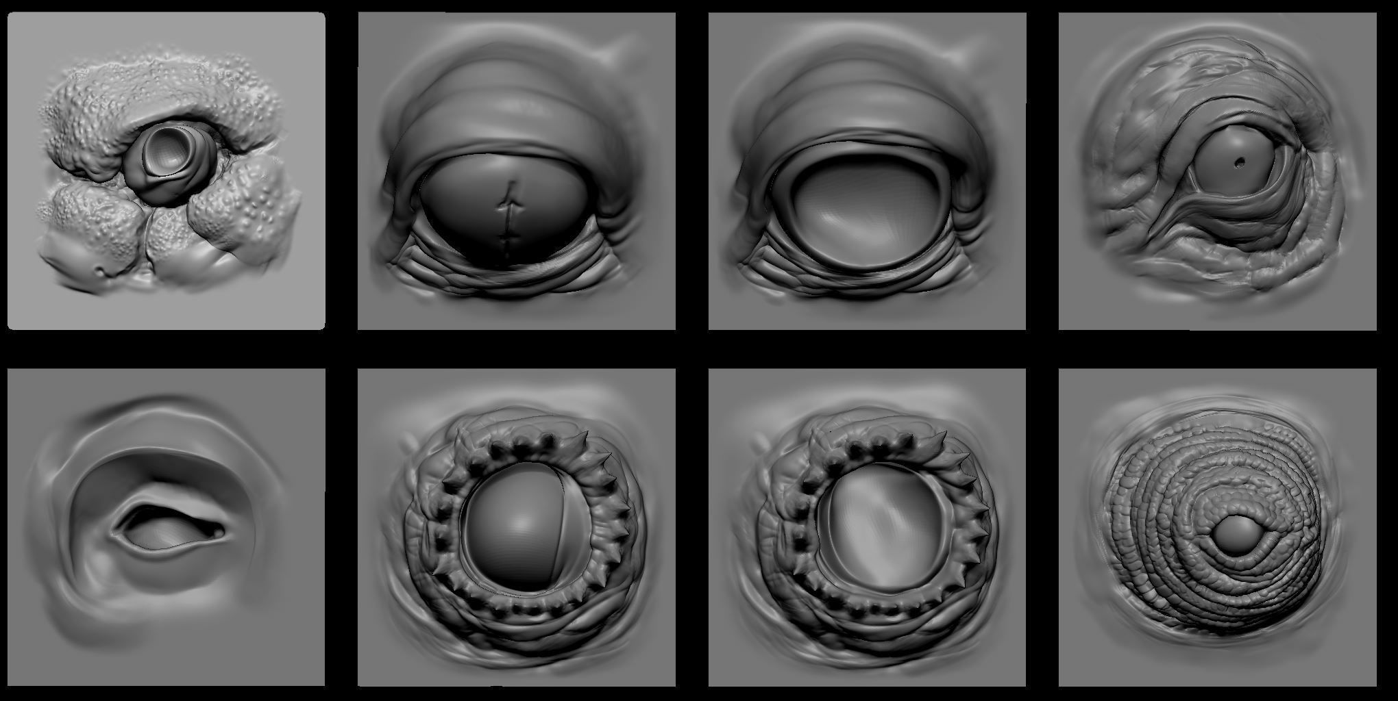 EYES - 28 Zbrush VDM creature eyes and 15 eyeballs 3D model_20