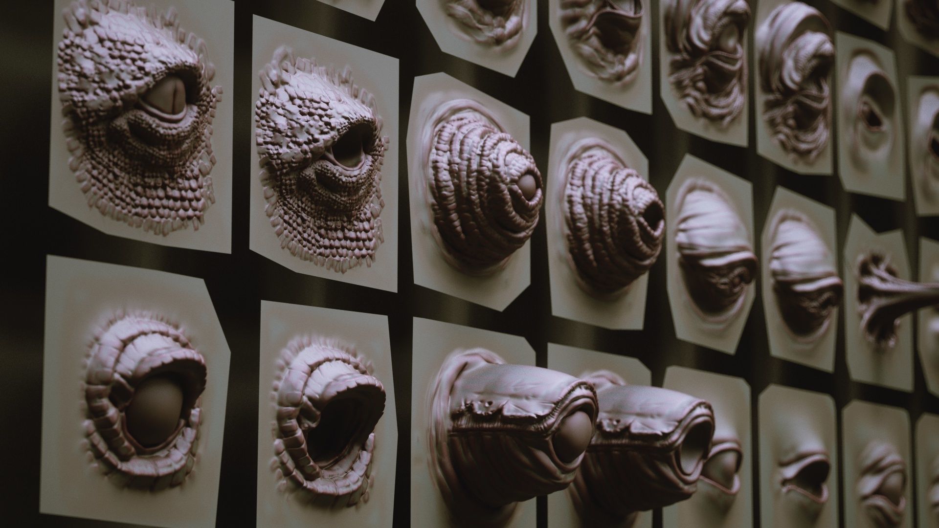 EYES - 28 Zbrush VDM creature eyes and 15 eyeballs 3D model_5