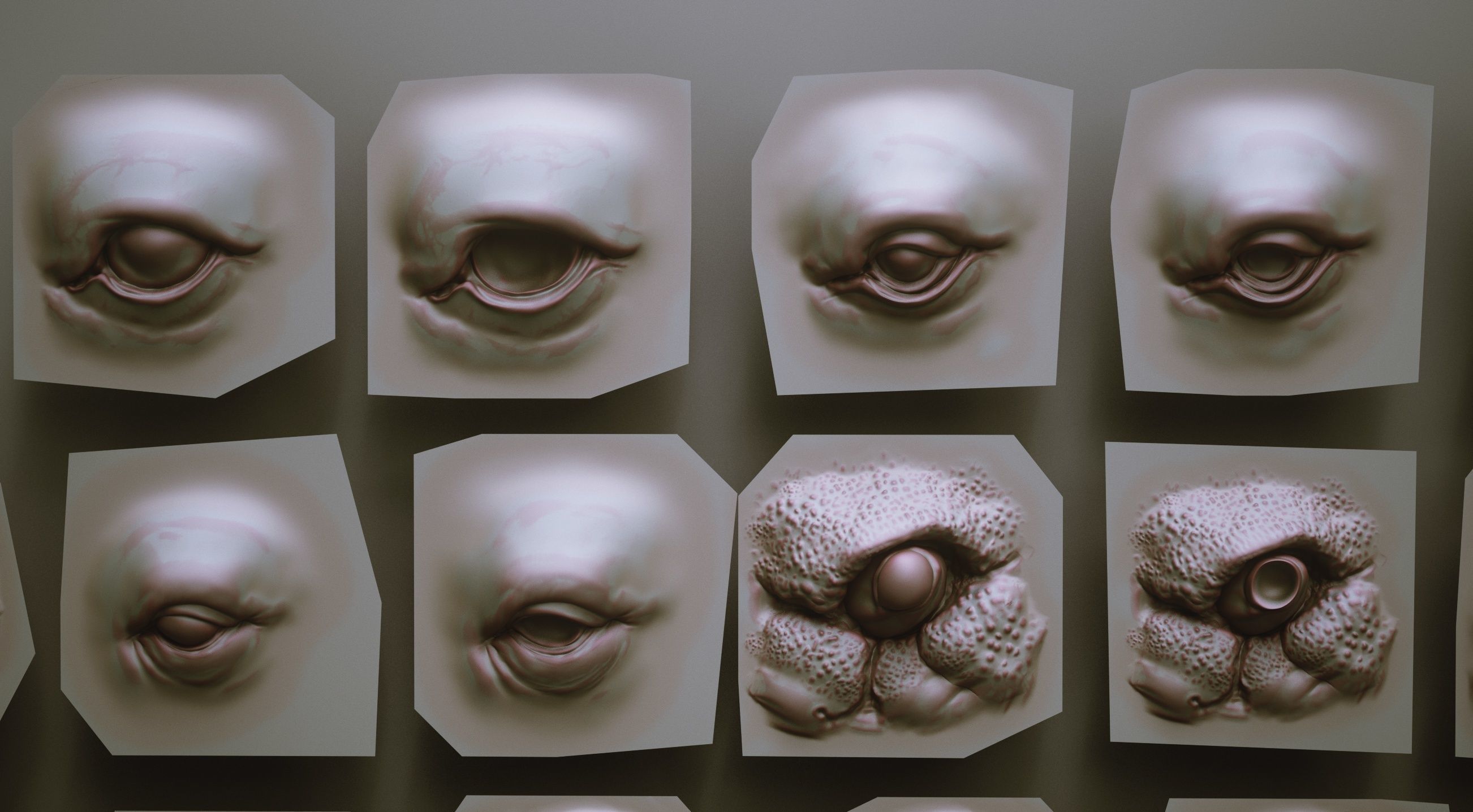 EYES - 28 Zbrush VDM creature eyes and 15 eyeballs 3D model_7