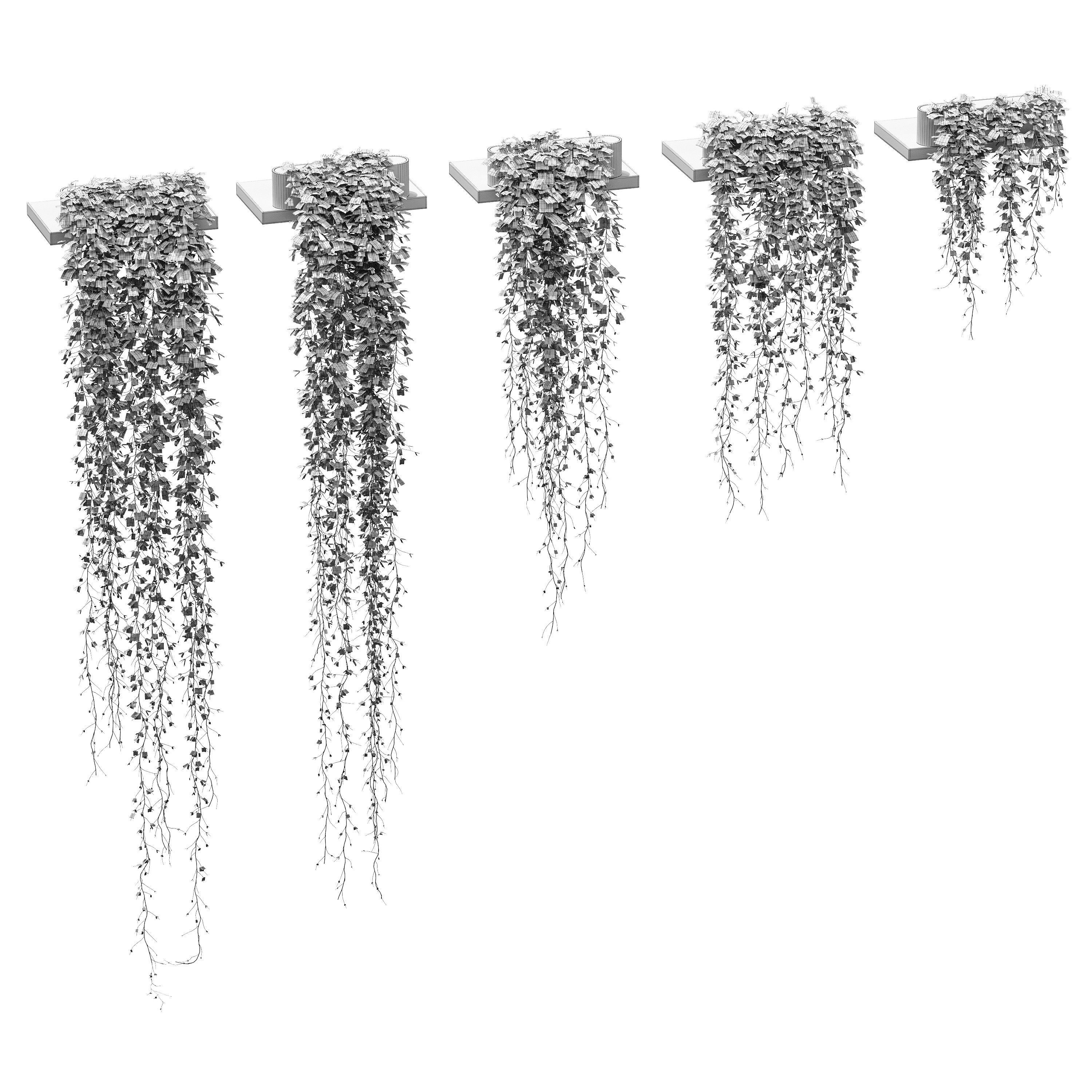 Hanging plants for shelves Vinca major - 5 models 3D model_1