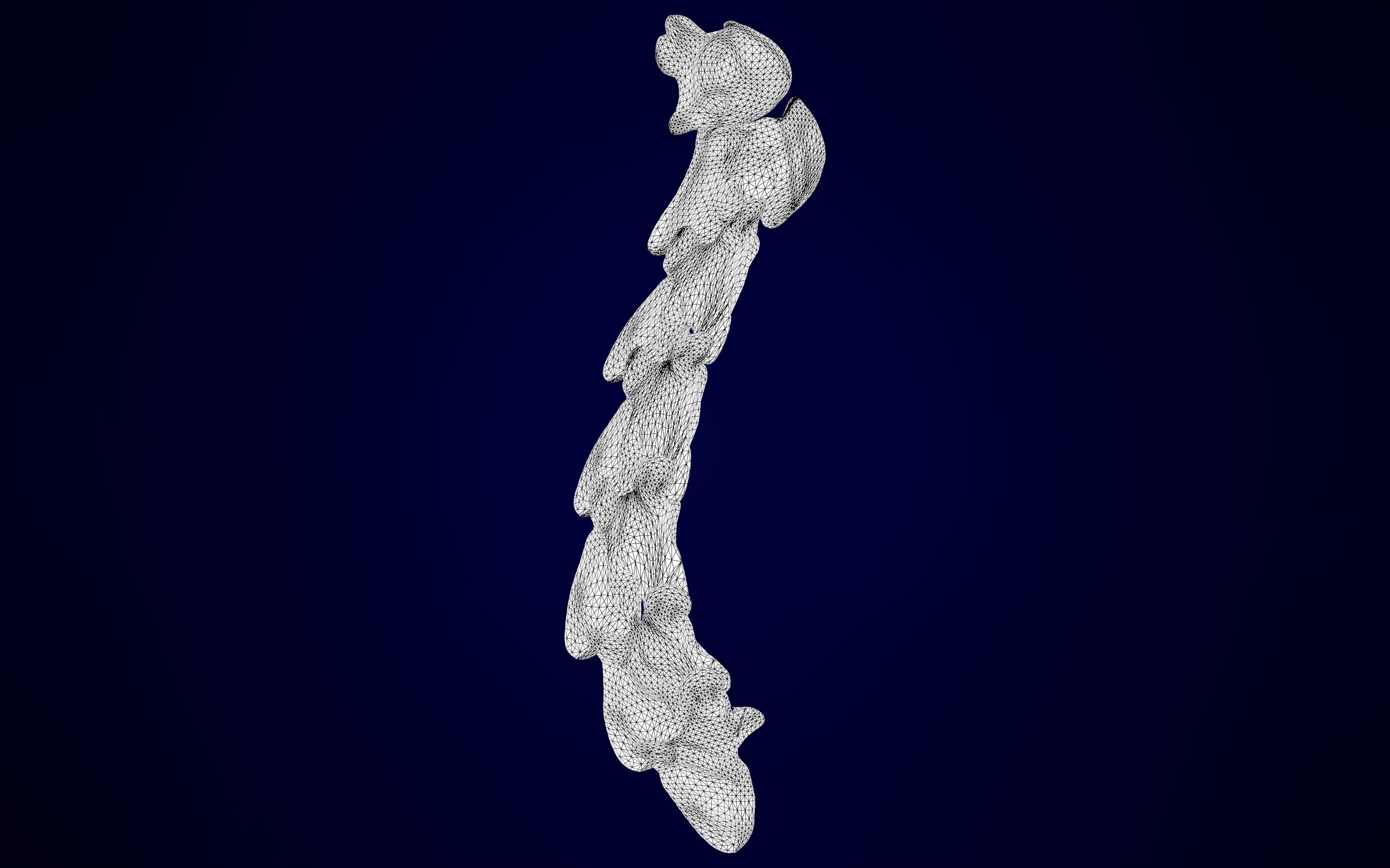 Hippogriff Skeleton 3D model_11