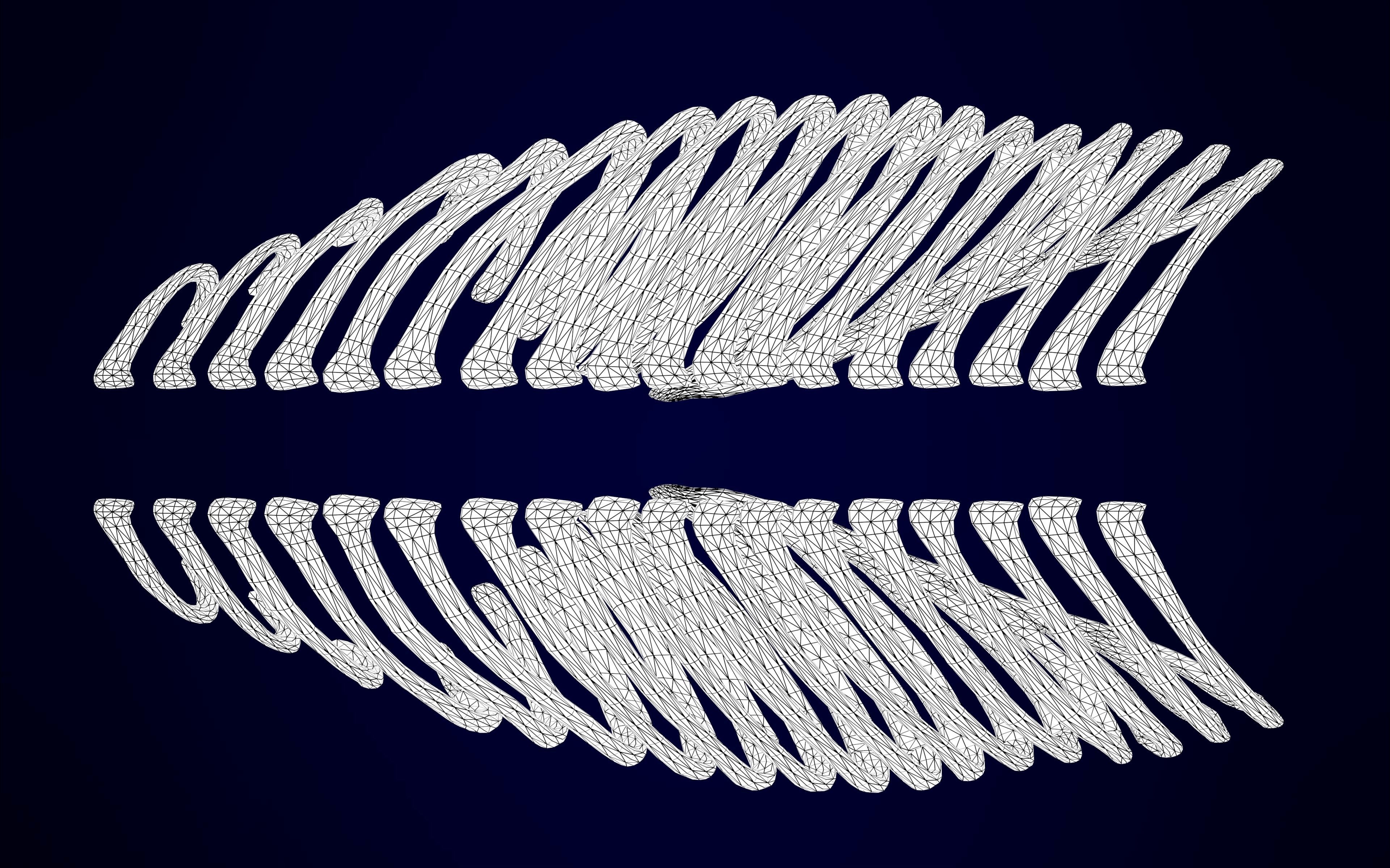 Hippogriff Skeleton 3D model_13