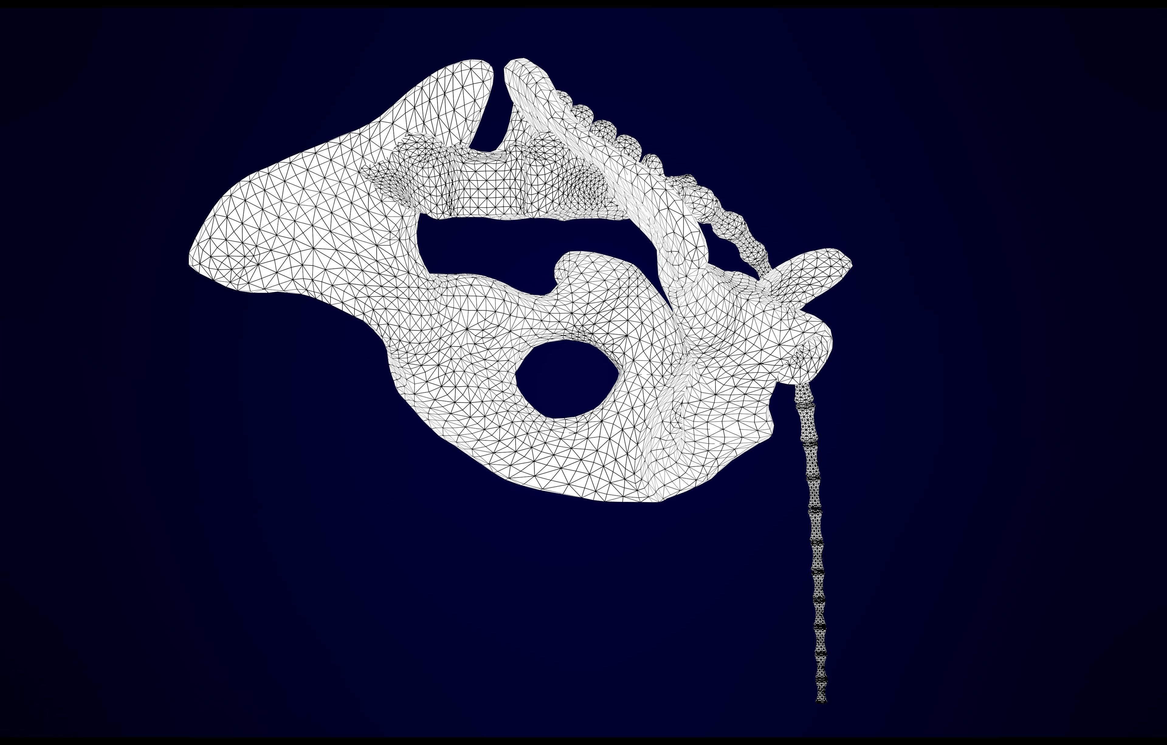 Hippogriff Skeleton 3D model_16