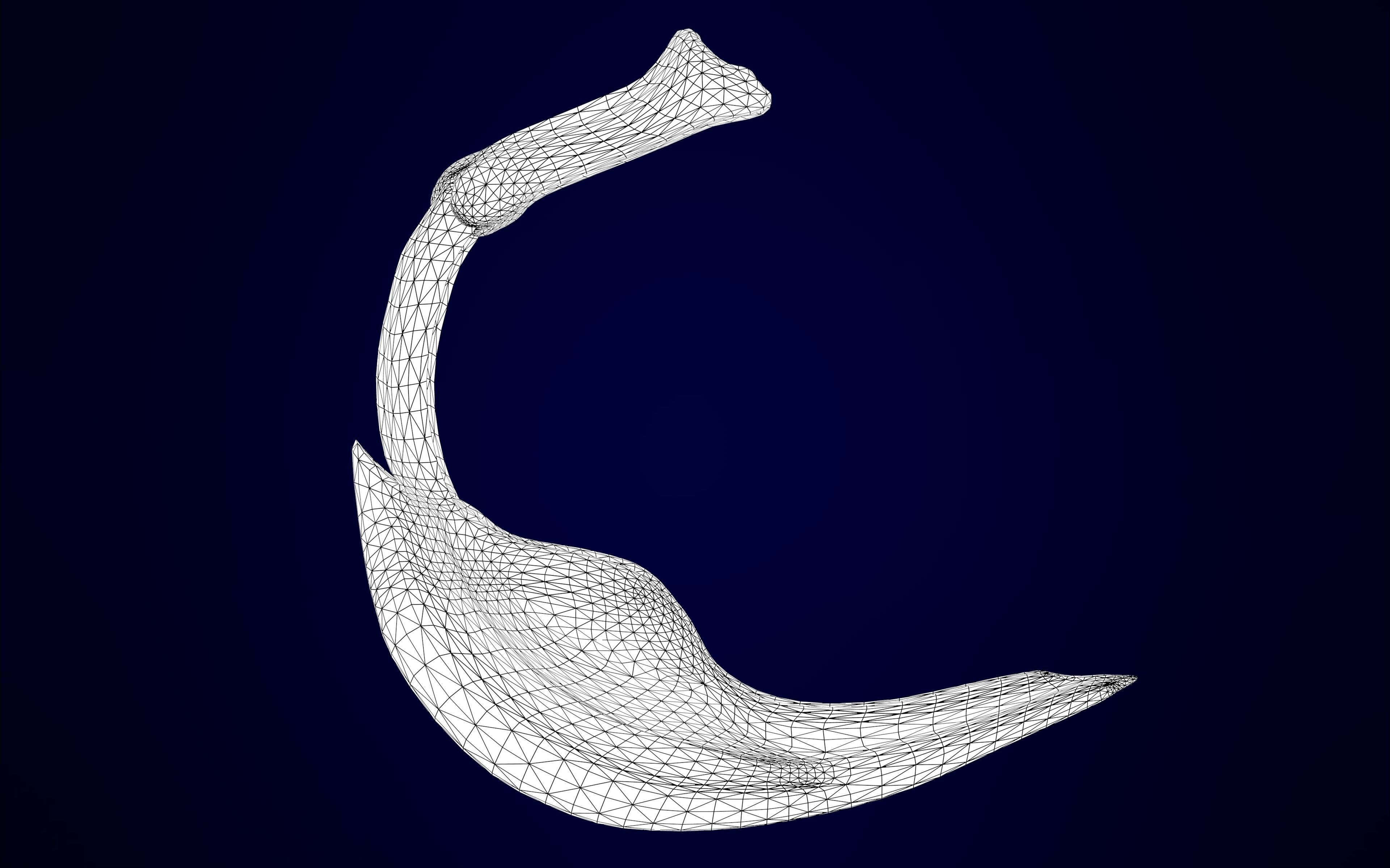 Hippogriff Skeleton 3D model_14