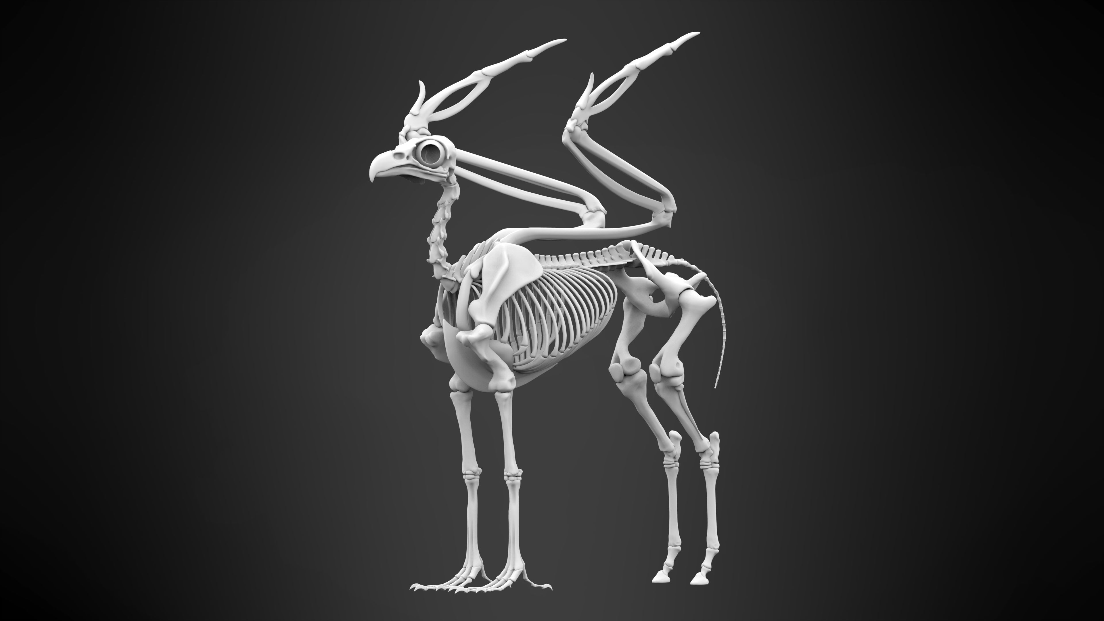 Hippogriff Skeleton 3D model_5