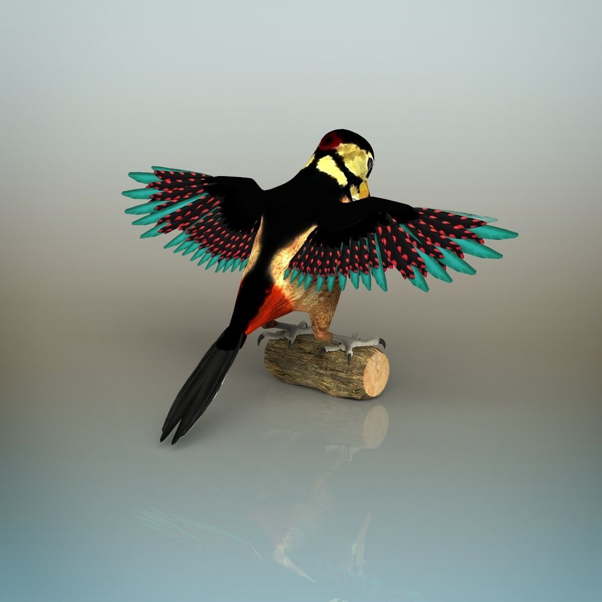 Woodpecker Bird 3D model_4