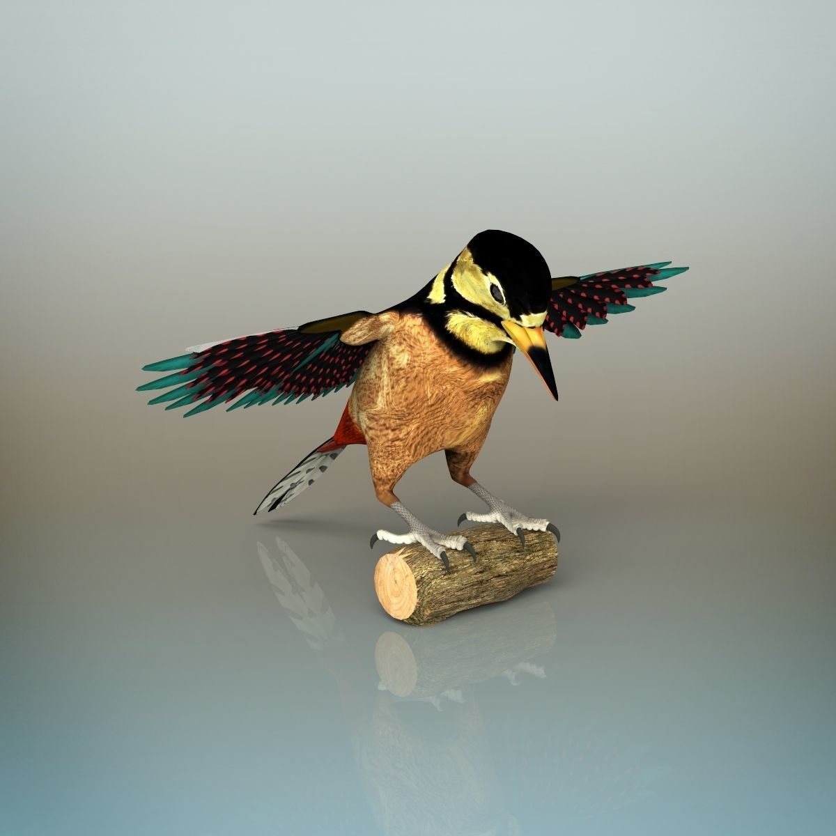 Woodpecker Bird 3D model_1