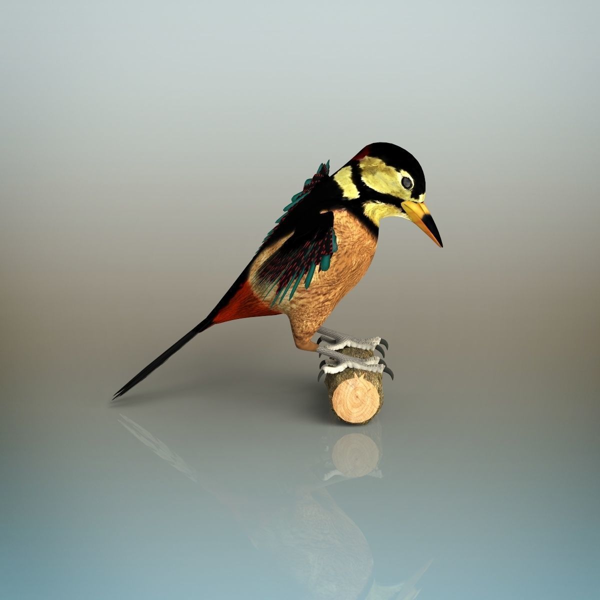 Woodpecker Bird 3D model_3