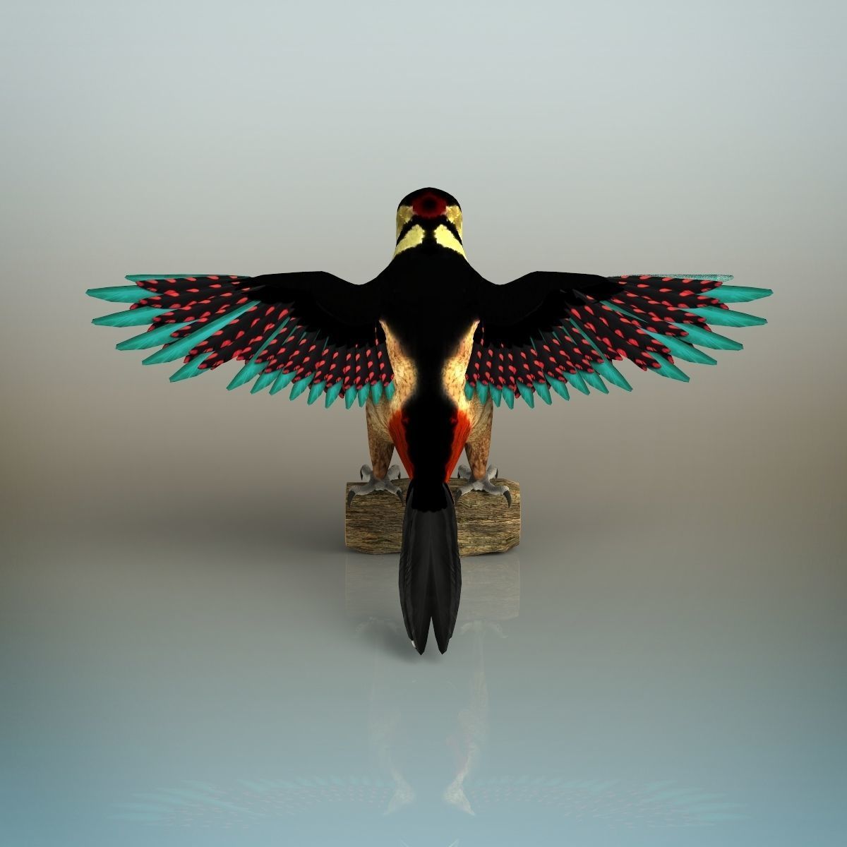 Woodpecker Bird 3D model_6