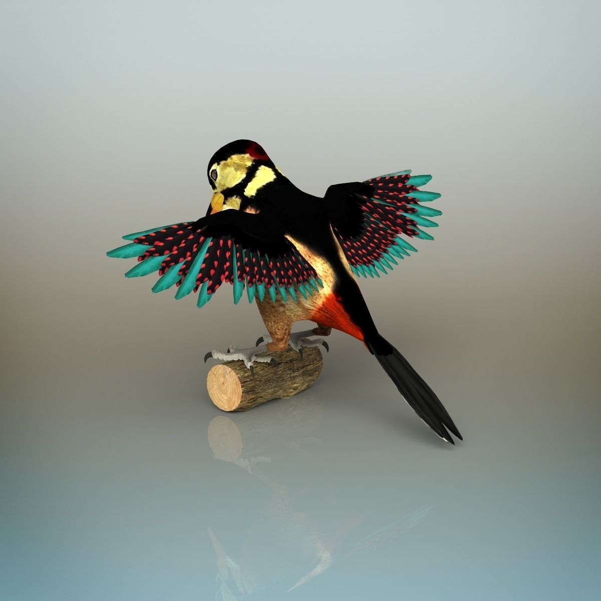 Woodpecker Bird 3D model_5