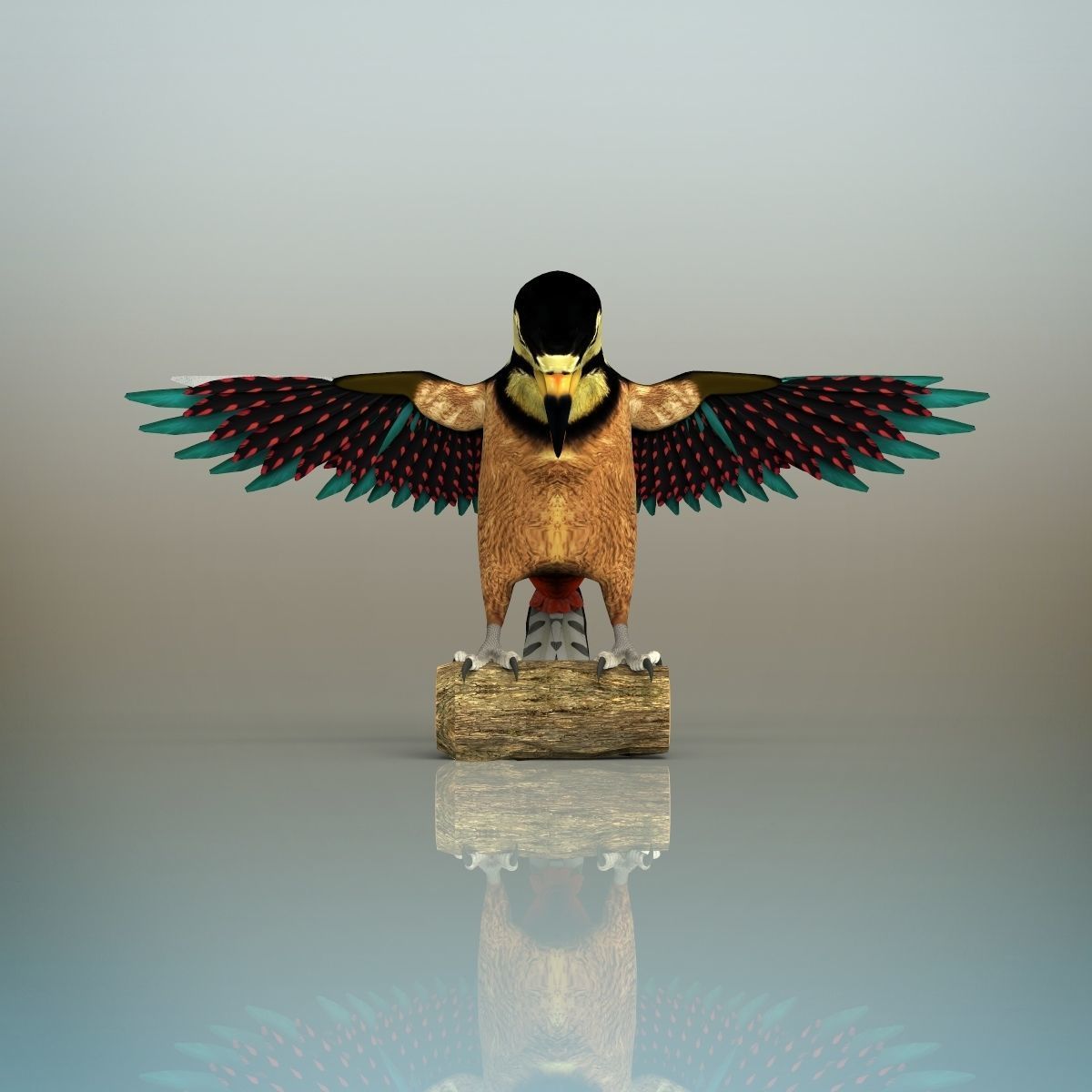 Woodpecker Bird 3D model_2