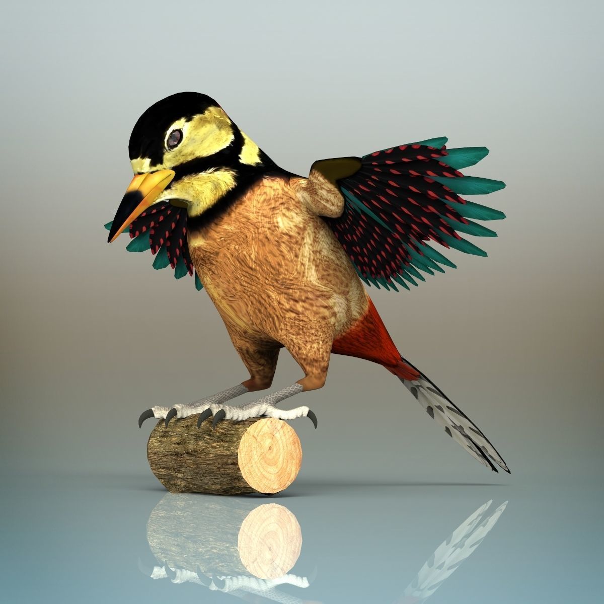 Woodpecker Bird 3D model_7