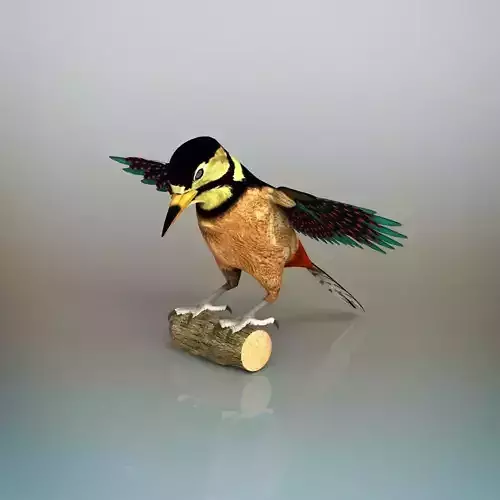 Woodpecker Bird 3D model