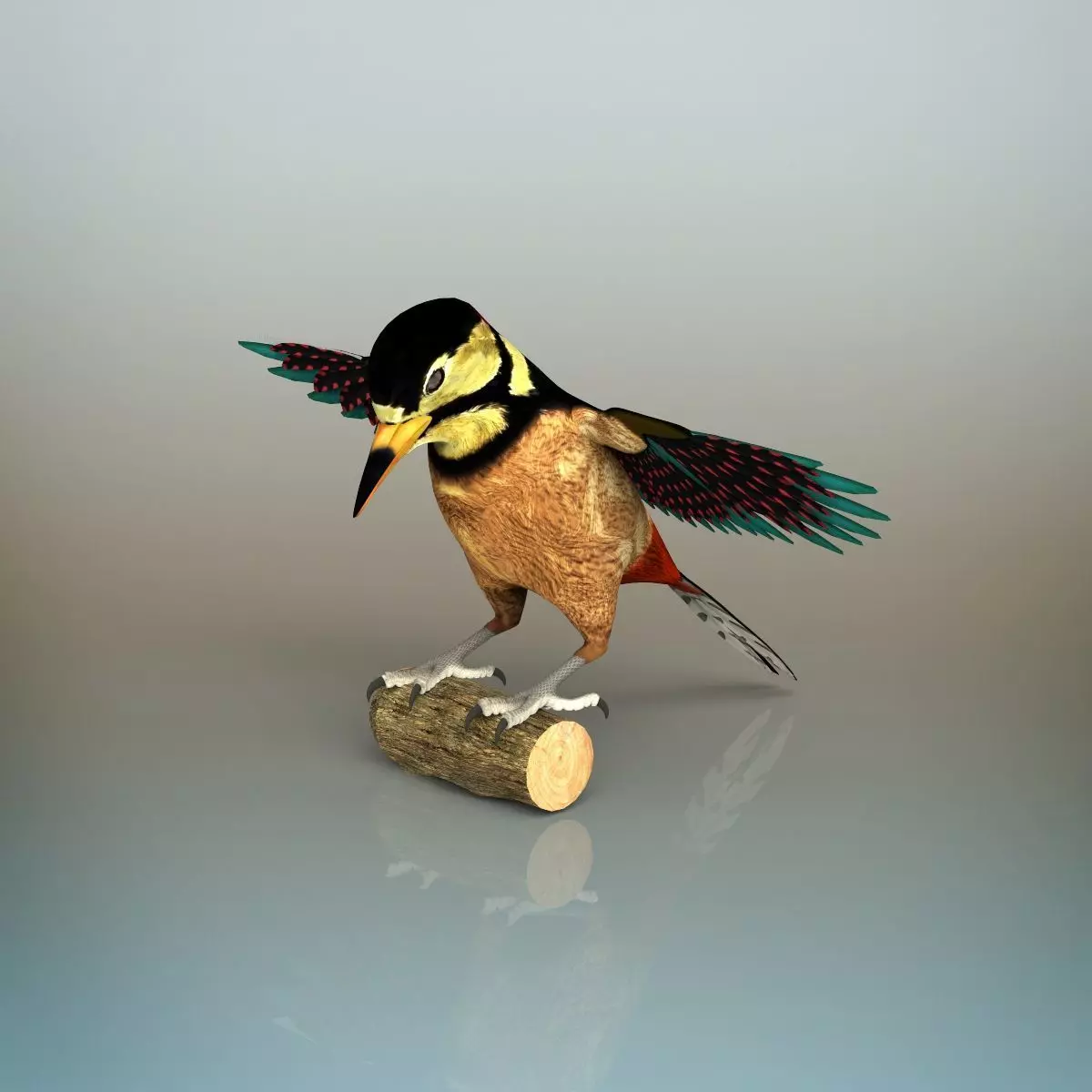 Woodpecker Bird 3D model_0