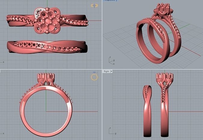ring and back ring 3D print model