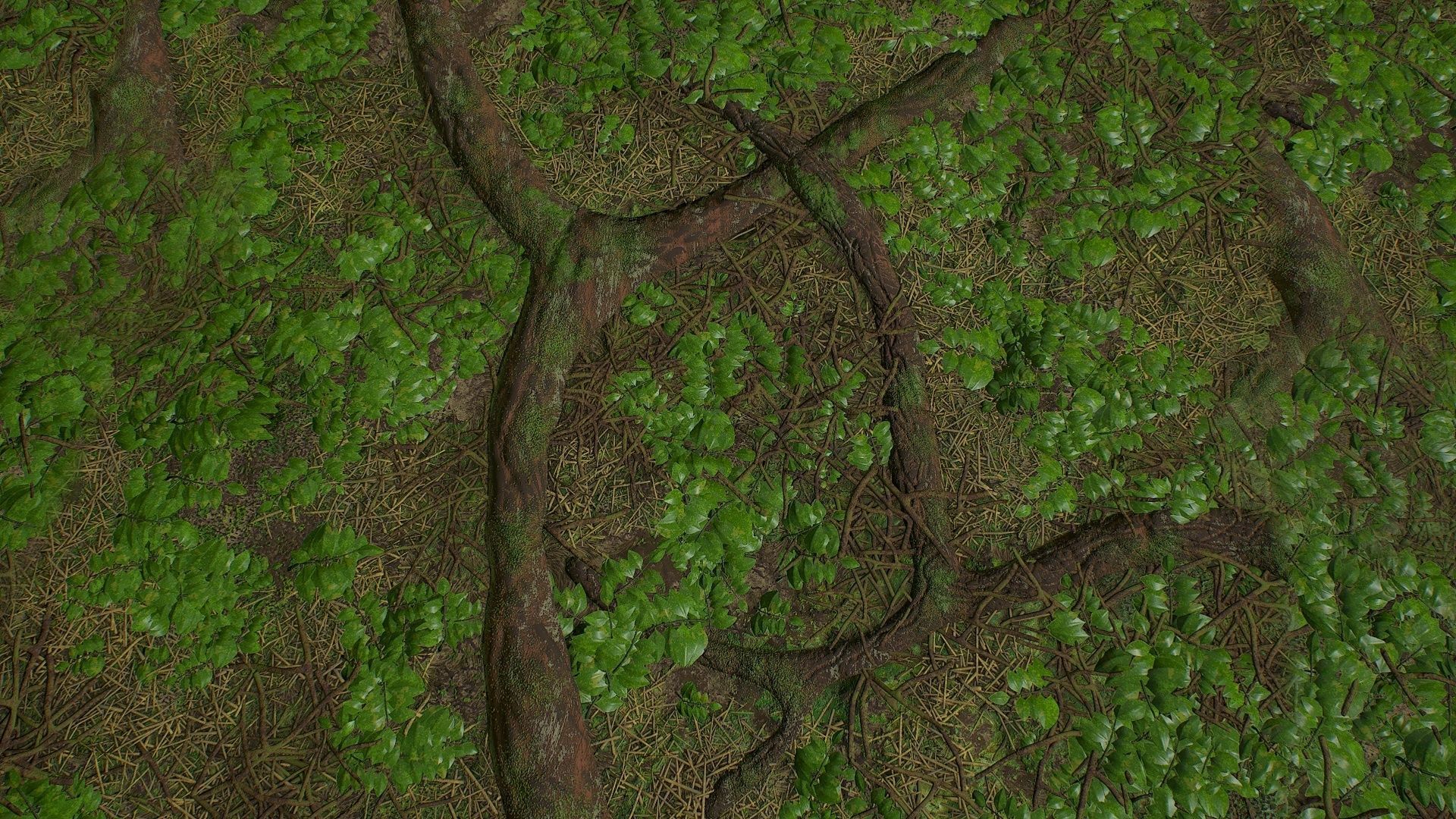 PBR tileable detailed forest ground textures Texture