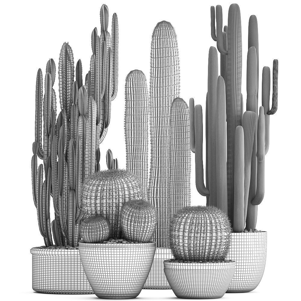 Collection of Exotic Cactus Plants 2 3D model_6