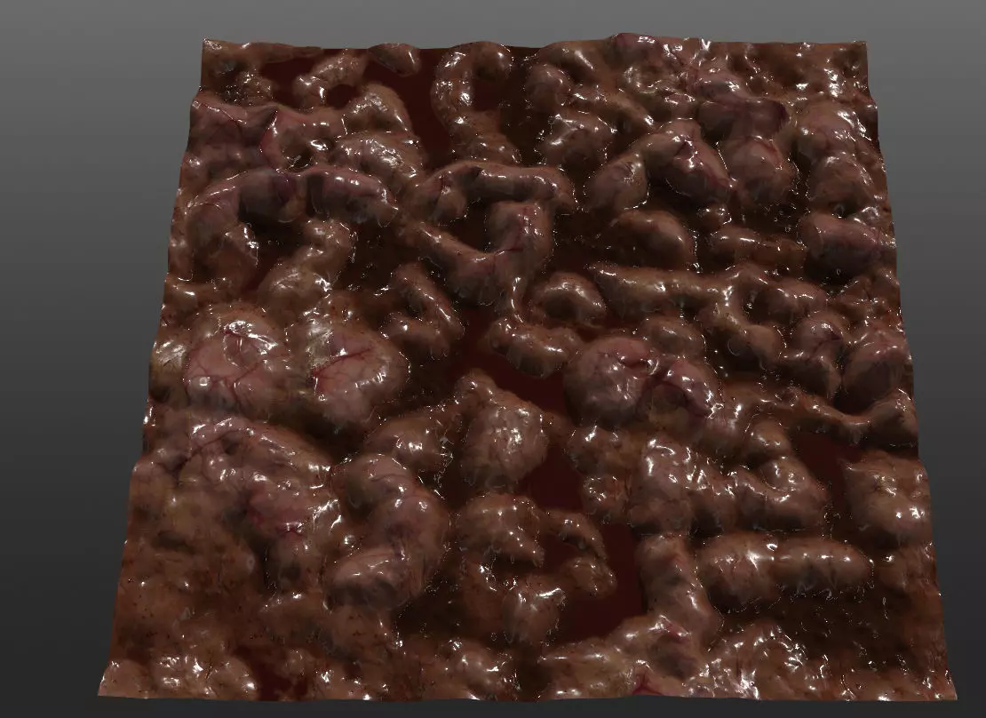 Gut PBR Texture - Seamless Texture_0