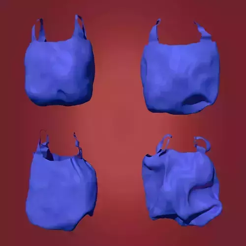 Plastic Sack - Bag Debris