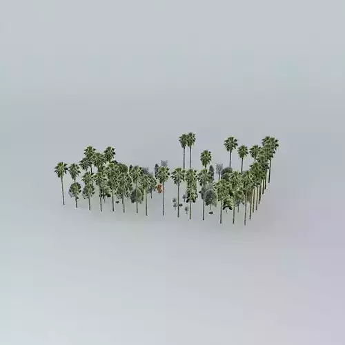 Square Carlos Gomes 3D model