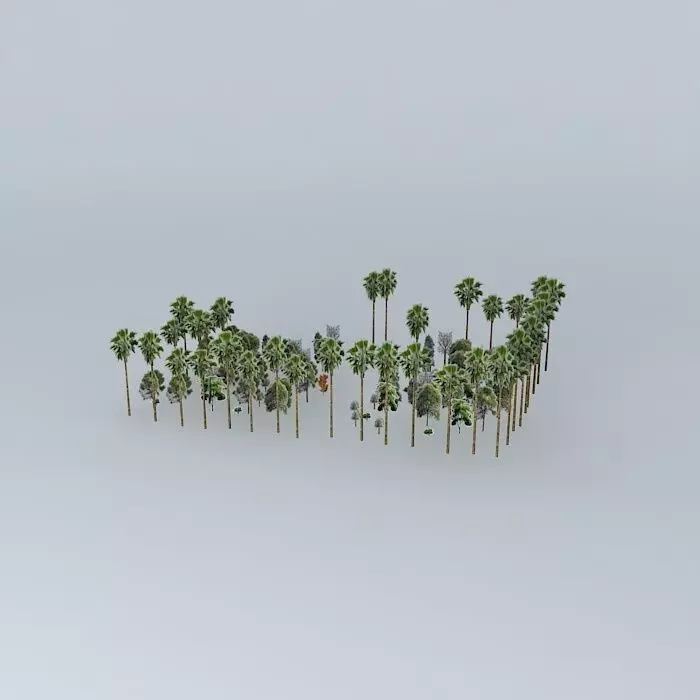 Square Carlos Gomes 3D model