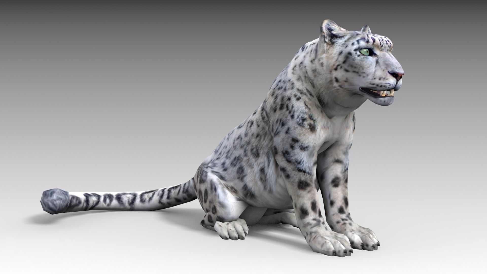 Snow Leopard Low-poly 3D model_10