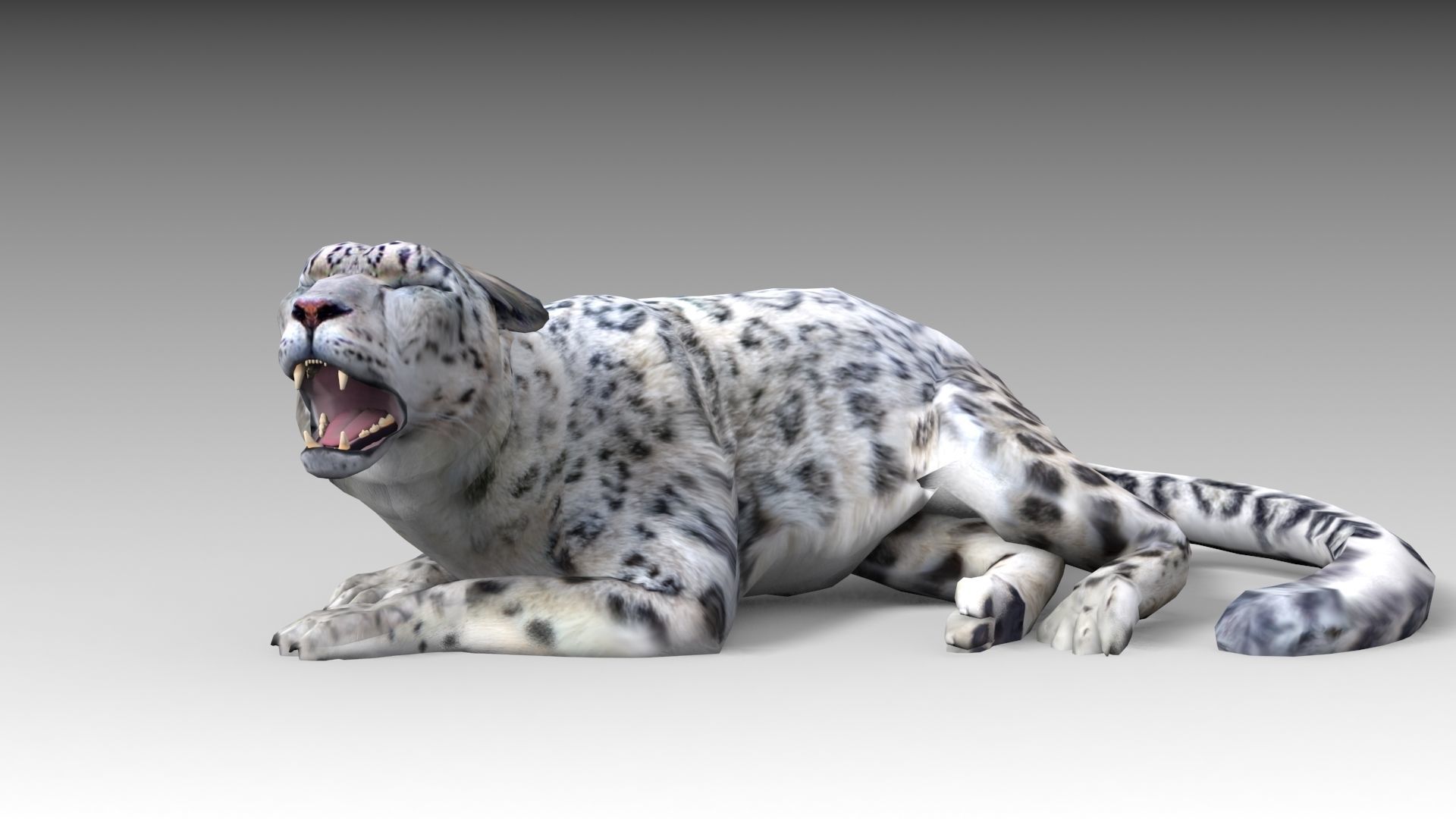 Snow Leopard Low-poly 3D model_4